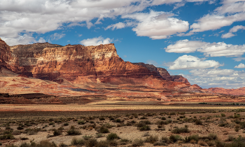 vermillion cliffs DSC_9497 copy.jpg