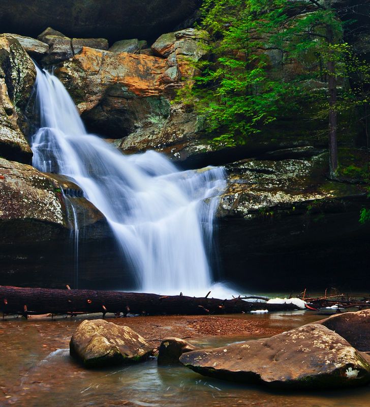 DSC_9571.jpg