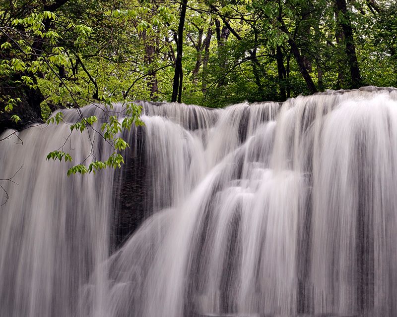 hayden falls small DSC_1655.jpg