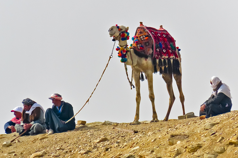 IMG_0801_e_2x3(1).jpg