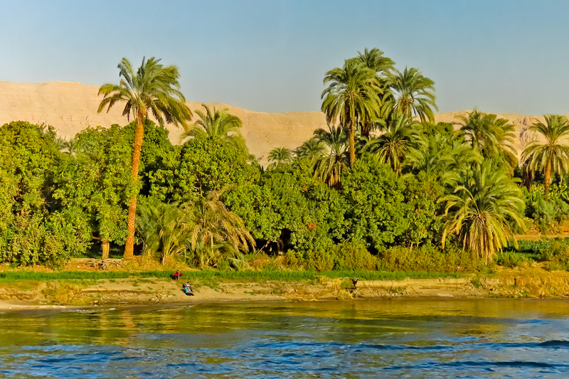 IMG_1113_e_2x3.jpg