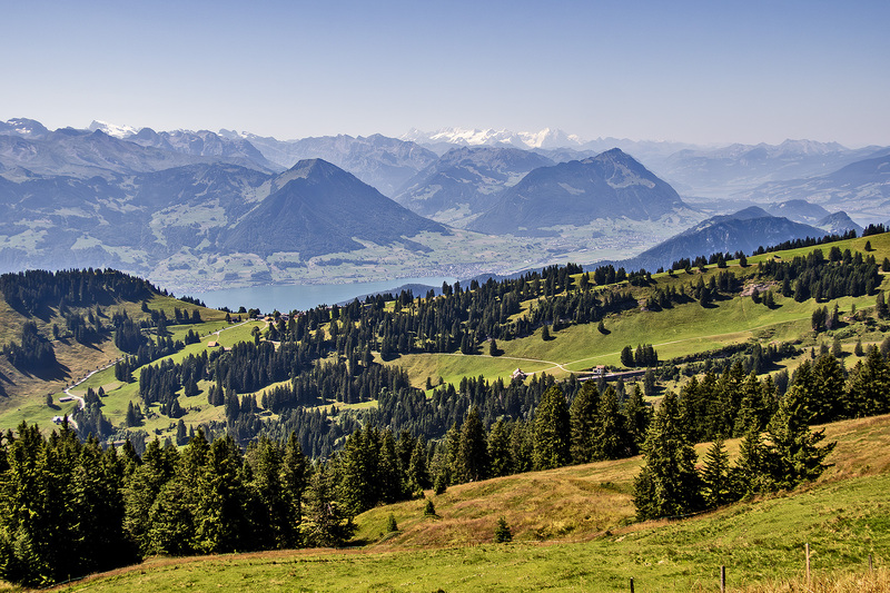IMG_1814_e_4x6.jpg