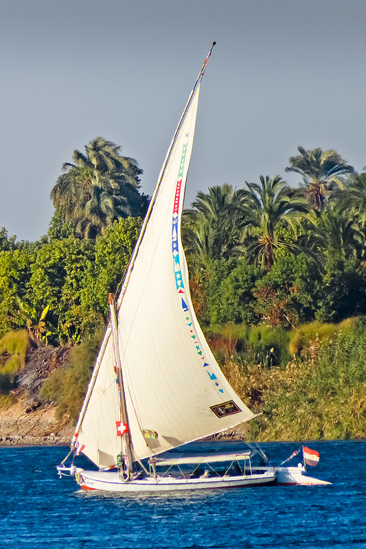 IMG_1936_e_2x3.jpg