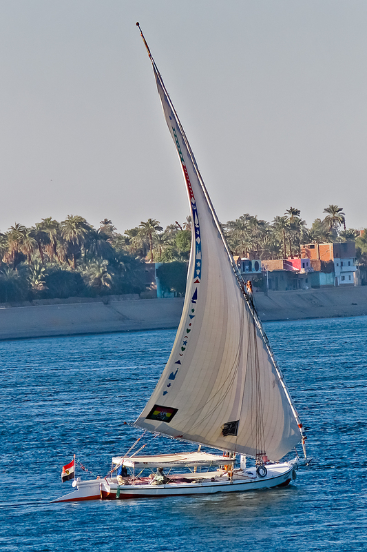 IMG_1951_e_2x3 (1).jpg