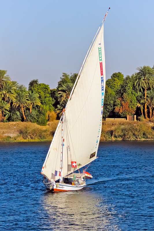 IMG_1964_e_2x3.jpg
