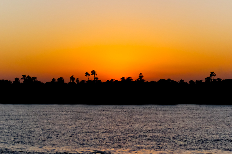 IMG_2061_e_2x3(1).jpg