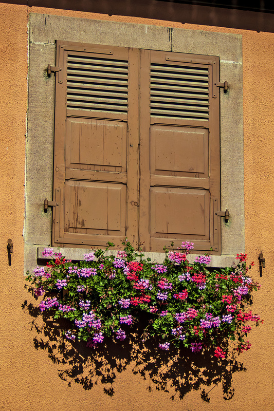 IMG_2409_e_4x6.jpg