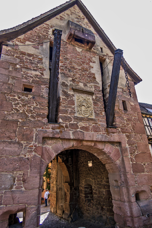 IMG_2488_e_4x6.jpg