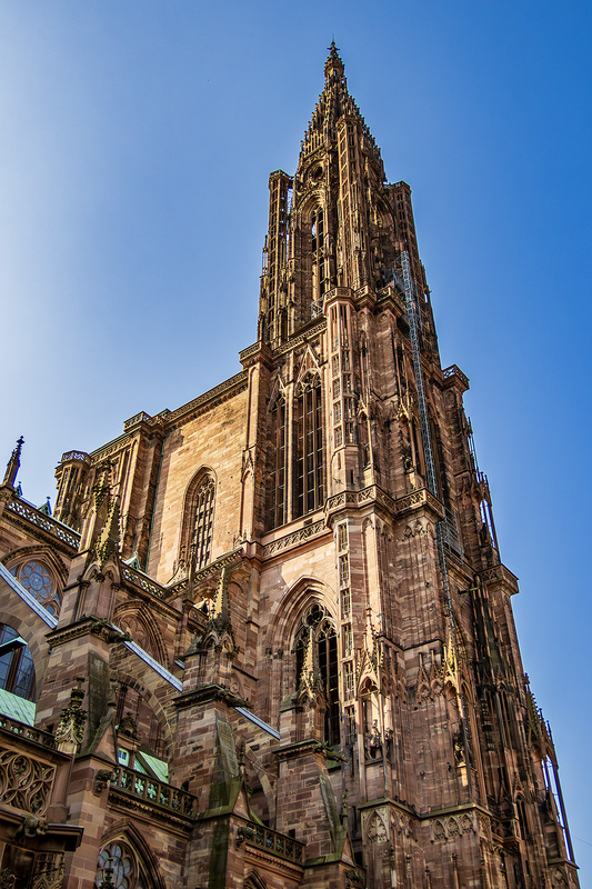 IMG_2656_e_4x6.jpg
