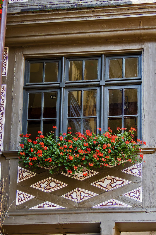 IMG_2812_e_4x6.jpg