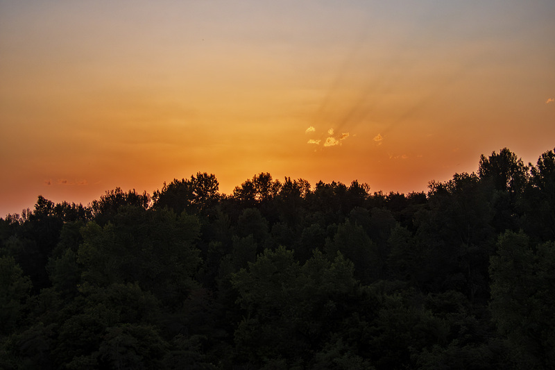 IMG_2825_e_4x6(1).jpg