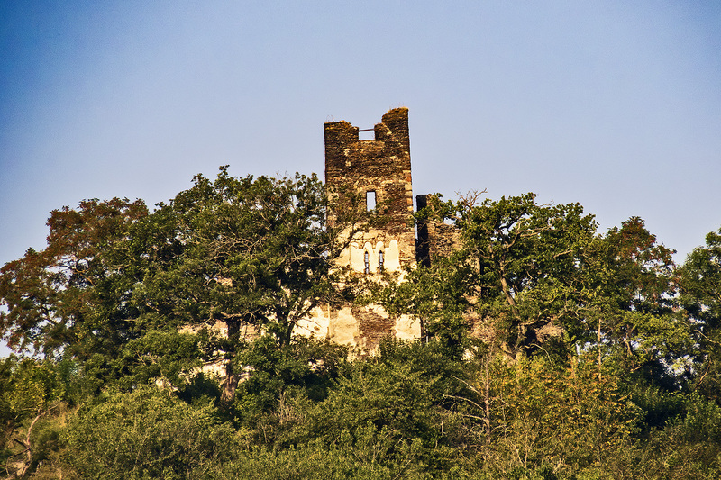 IMG_3545_e_4x6.jpg