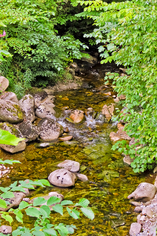 IMG_3573_e_4x6.jpg
