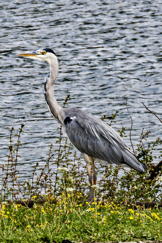 IMG_3847_e_4x6.jpg
