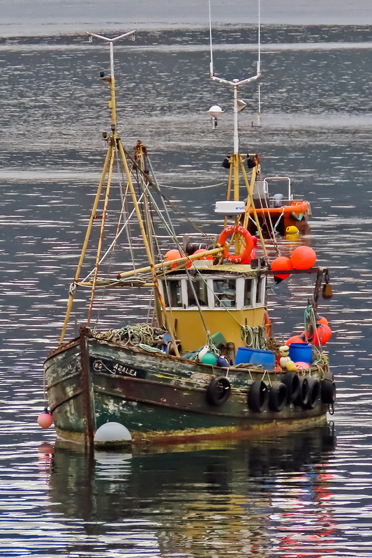 IMG_4081_e_4x6.jpg