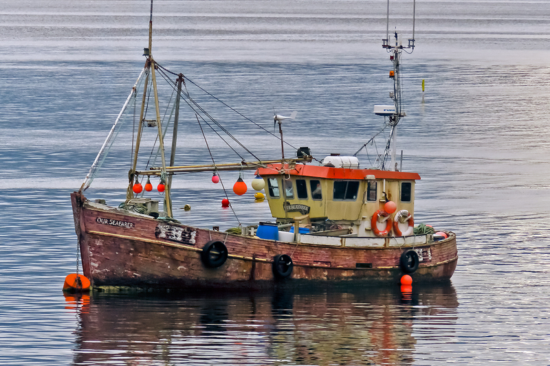 IMG_4082_e_4x6.jpg