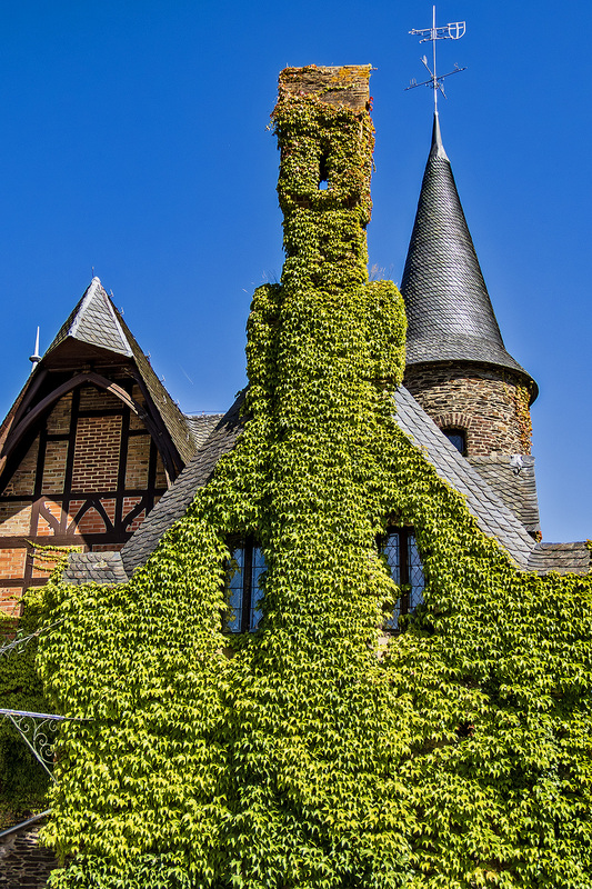 IMG_4171_e_4x6.jpg