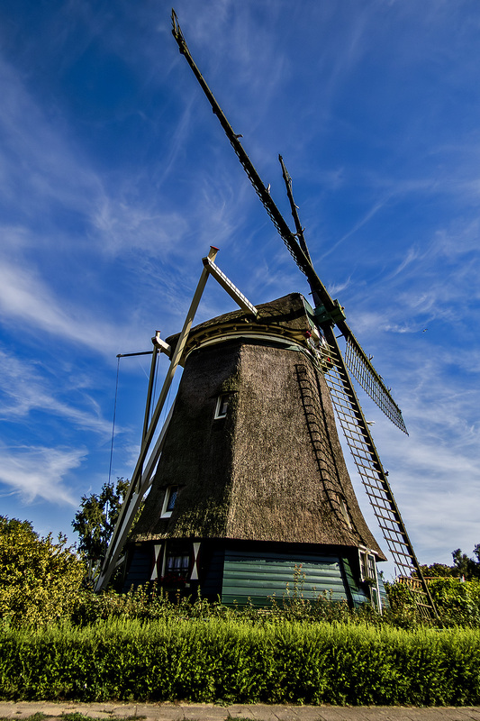 IMG_4751_e_4x6.jpg