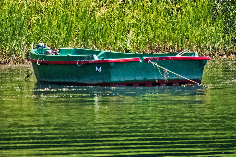 IMG_6046_e_4x6.jpg