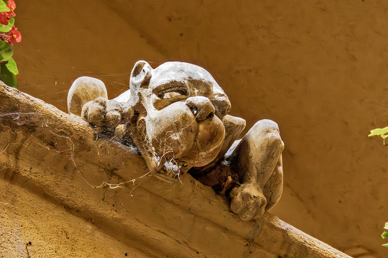 IMG_6373-Enhanced-NR_e_4x6.jpg