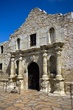 Alamo (1).jpg