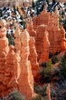 Bryce Canyon NP (3).jpg