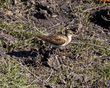 IMG_1966_e_4x5.jpg