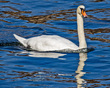 IMG_2011_e_4x5.jpg