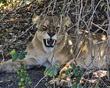 IMG_2067_e_4x5.jpg