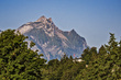IMG_2286_e_4x6.jpg