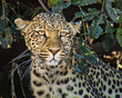 IMG_2335_e_4x5.jpg
