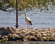 IMG_3153_e_4x6.jpg