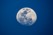 IMG_4286_e_4x6.jpg