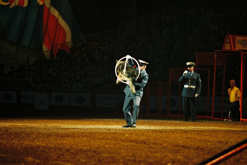 B1000024(2).jpg