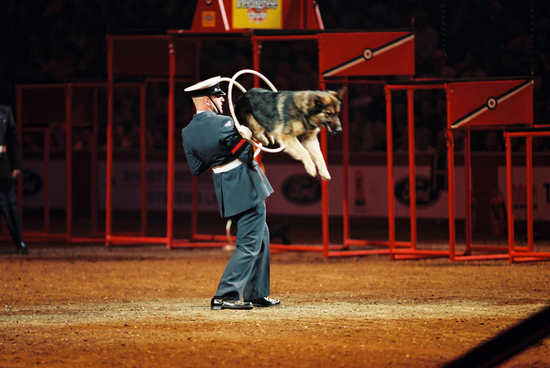B12000025(1).jpg