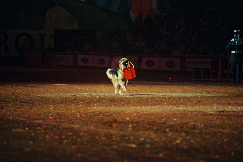 D6000005(1).jpg