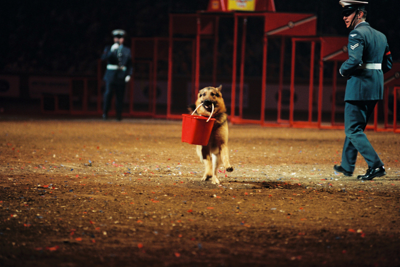 D6000006(1).jpg