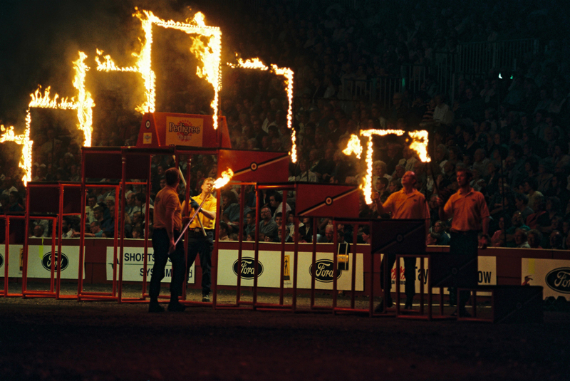 D6000007(1).jpg