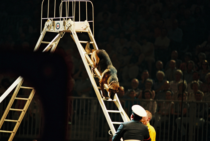 H2000018(1).jpg