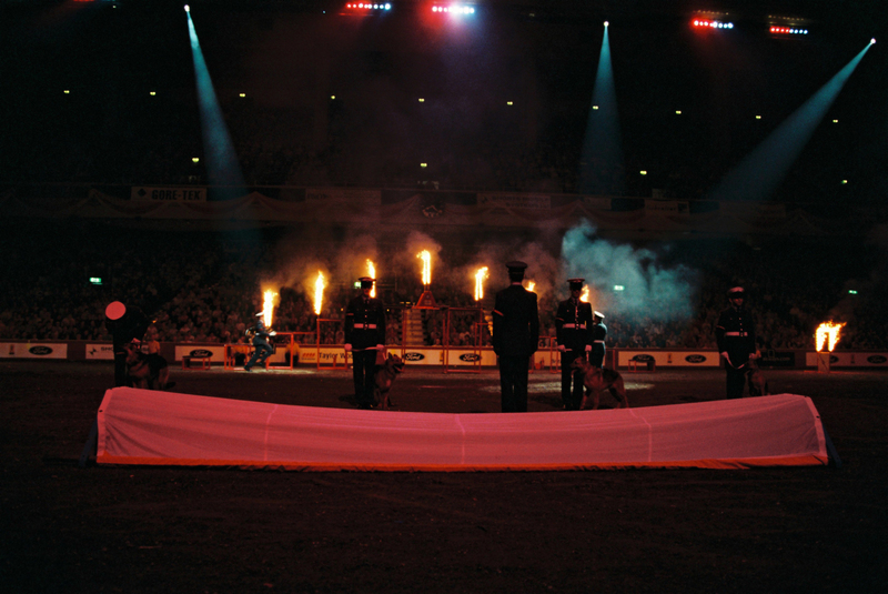 H3000002(1).jpg