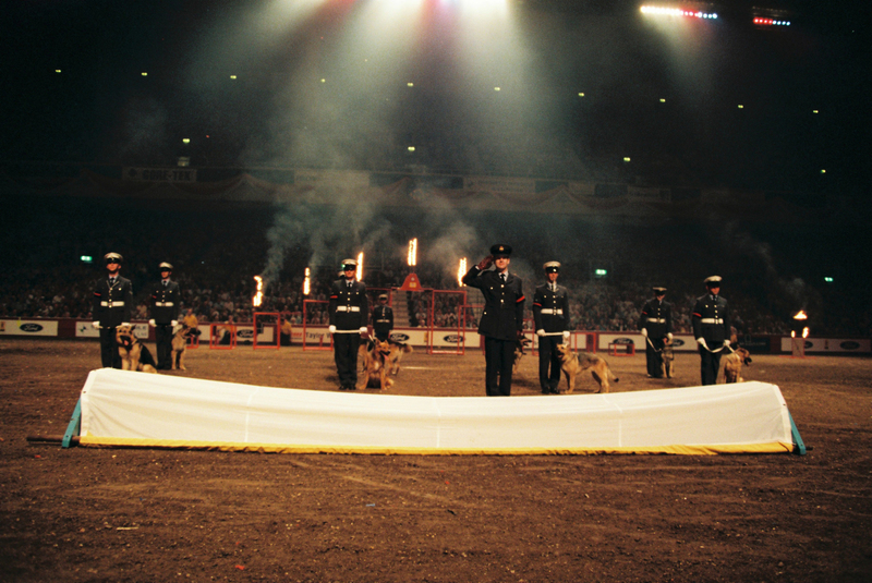 H3000003(1).jpg