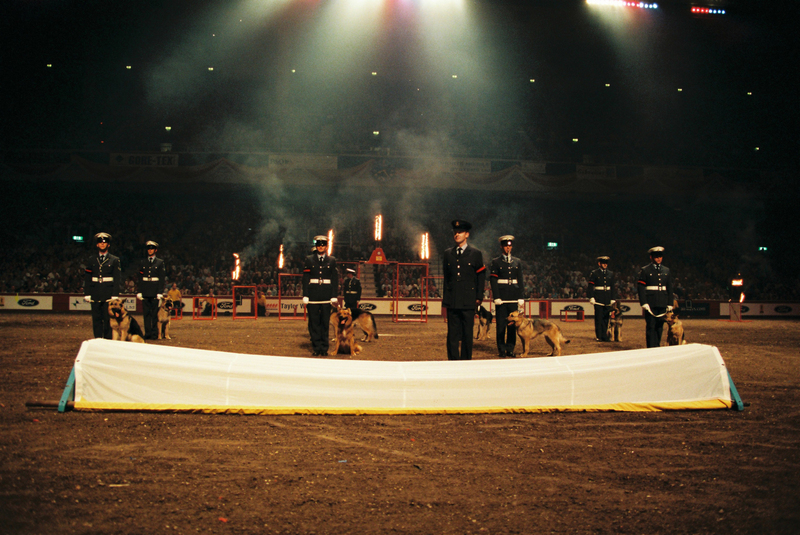 H3000005(1).jpg