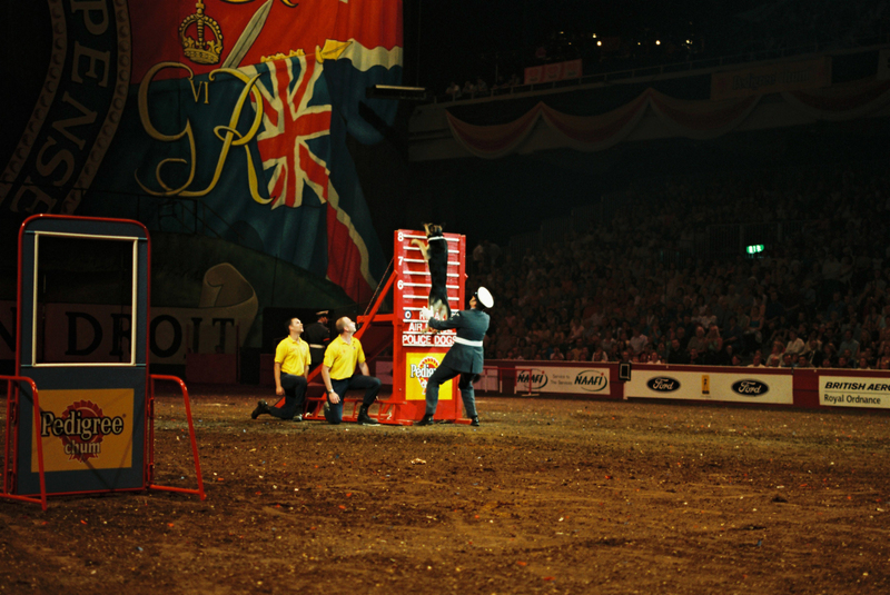 H3000036(1).jpg