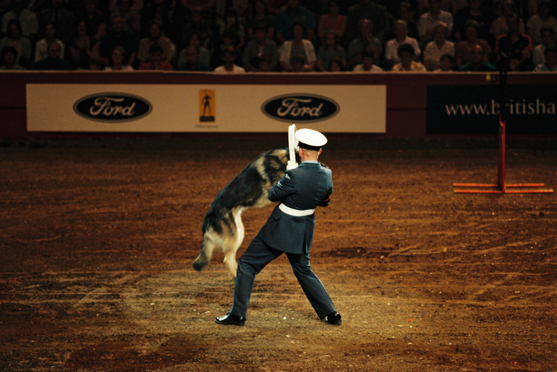 P6000001(1).jpg