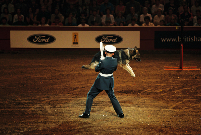 P6000002(1).jpg