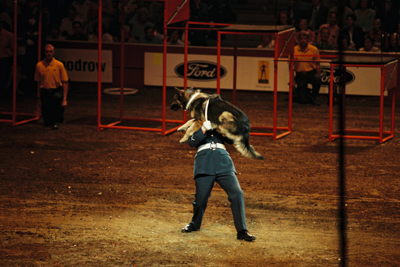 P6000004(1).jpg