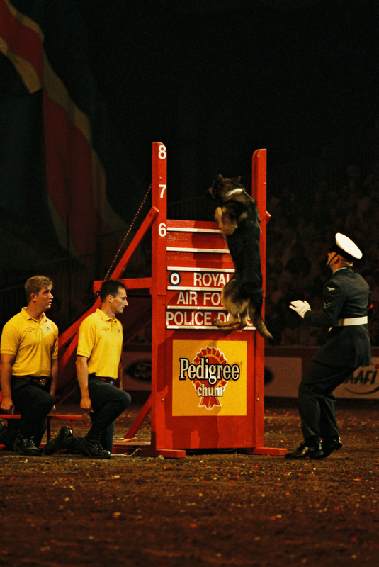 Q2000025(1).jpg