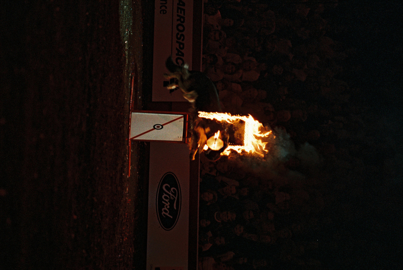 Q2000031(1).jpg