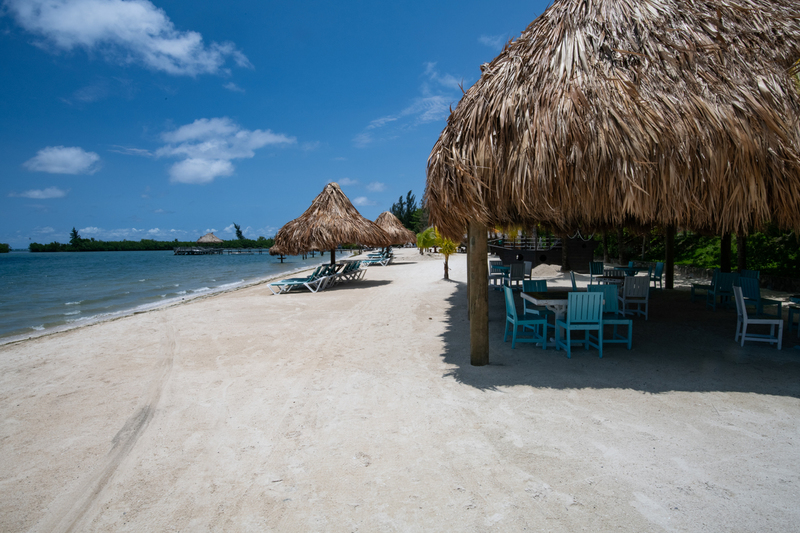 850_3491(1).jpg
