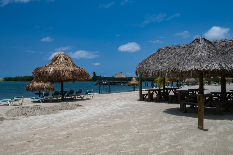 850_3503(1).jpg